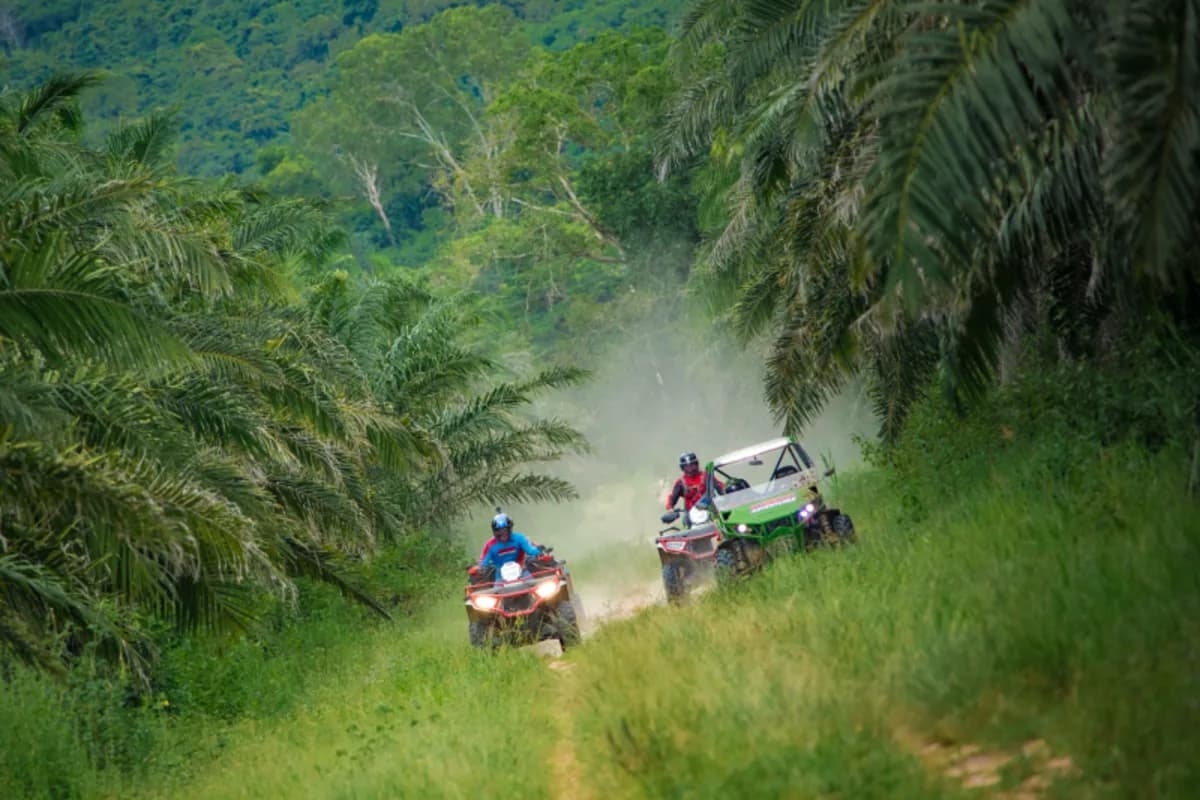 ATV and buggy racing through palm tree lined jungle trail