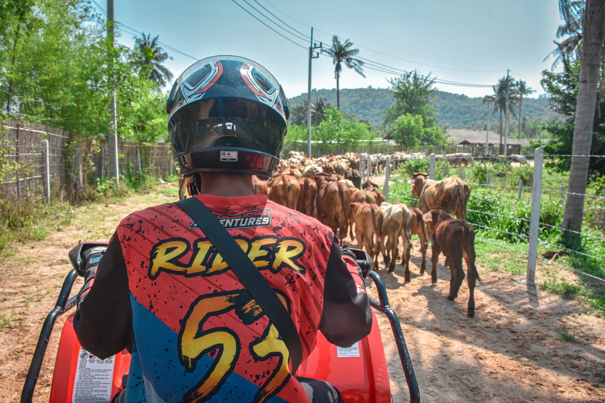 Explorer Tour — ATV & Buggy Adventures off-road trail